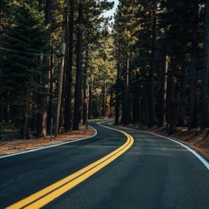 brown road between trees during daytime